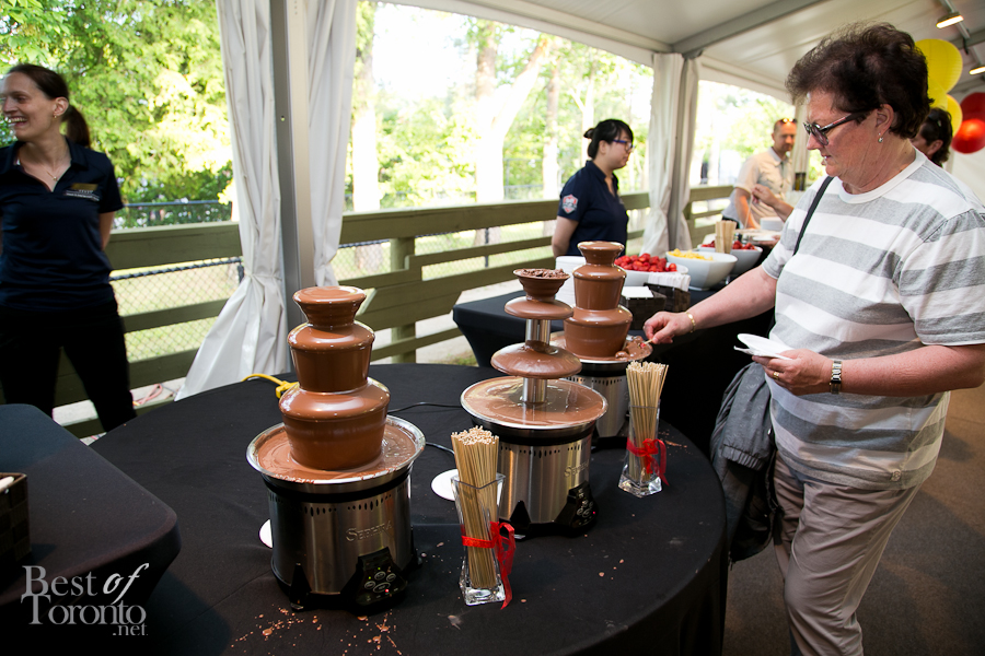 Chocolate fountain paired with your choice of dessert wines
