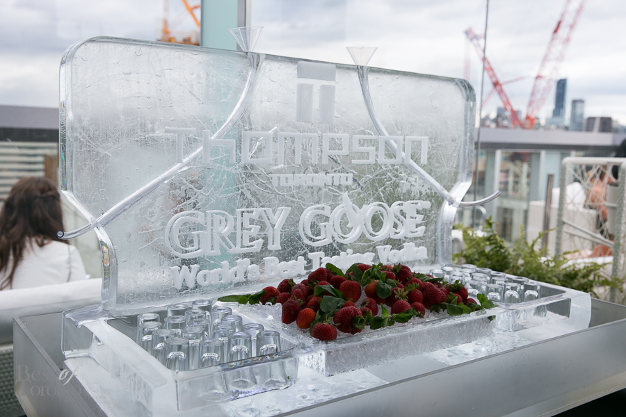 The Grey Goose ice bar
