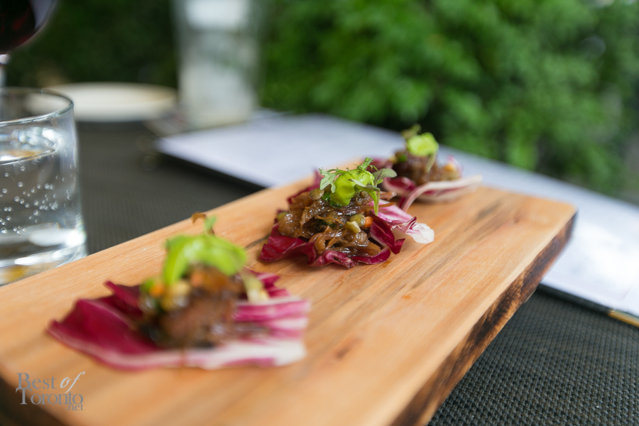 Braised lamb with lentils on a bed of radicchio | Photo: Nick Lee