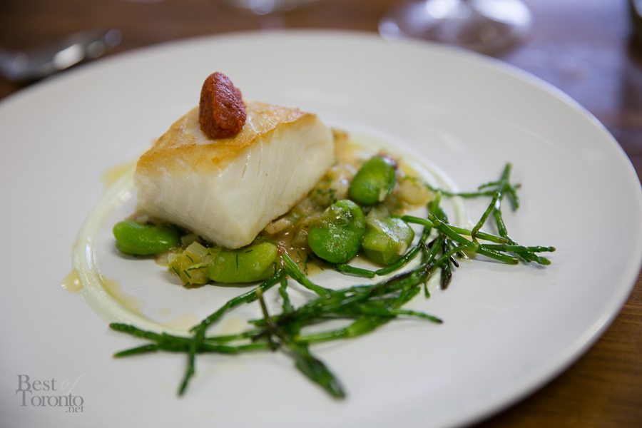 Pan Roasted Halibut with Cucumber Yogurt, Dill & Fava Beans (Paired with Rosehall Run 2013 Righteous Dude Riesling)