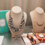 Stella and Dot jewelery, silent auction items