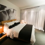Clean and modern designs in the suite