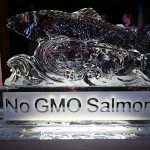 Do what the ice sculpture says: No GMO Salmon