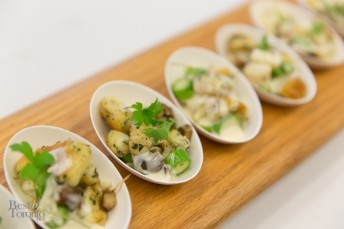 Scaramouche - Carolyn Reid