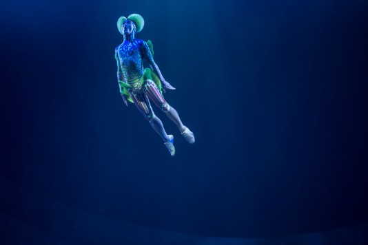 Acro Net