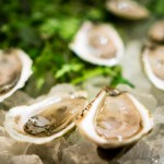 Edna | Nova Scotia oysters