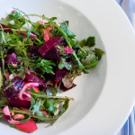Beet, fennel, and apple salad with honey mustard dressing