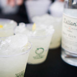 Dillon's Distillers - Gin 'n' Goodness by Ana Wolkowski