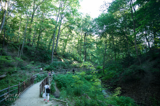 Glen Stewart Ravine