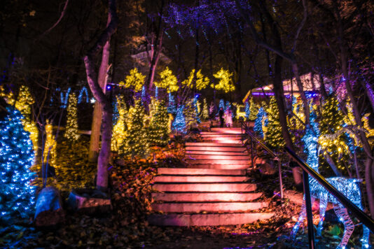 Casa Loma Holiday Lights